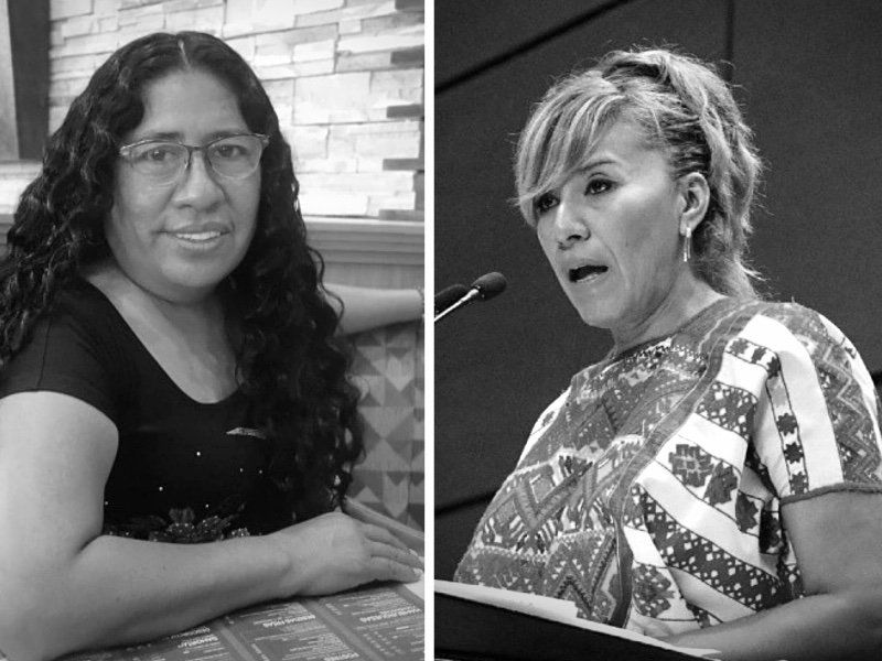Las diputadas afromexicanas son una aguja en un pajar