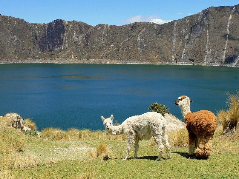 Un hallazgo prehistórico en Los Andes evidencia que las mujeres también cazaban