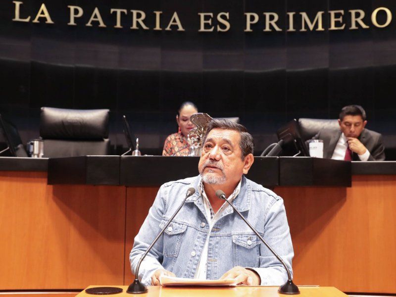 ¿Qué vías pueden eliminar la candidatura de Salgado Macedonio? Juristas responden