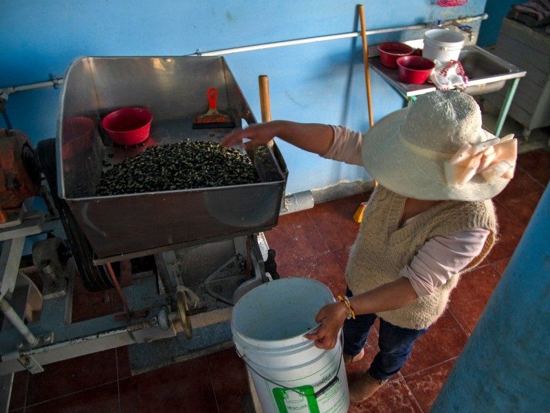 Mujeres de la CDMX venden delicias del maíz para salir de la violencia doméstica