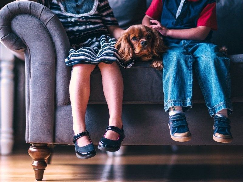 Propuestas para combatir la violencia de género desde las infancias