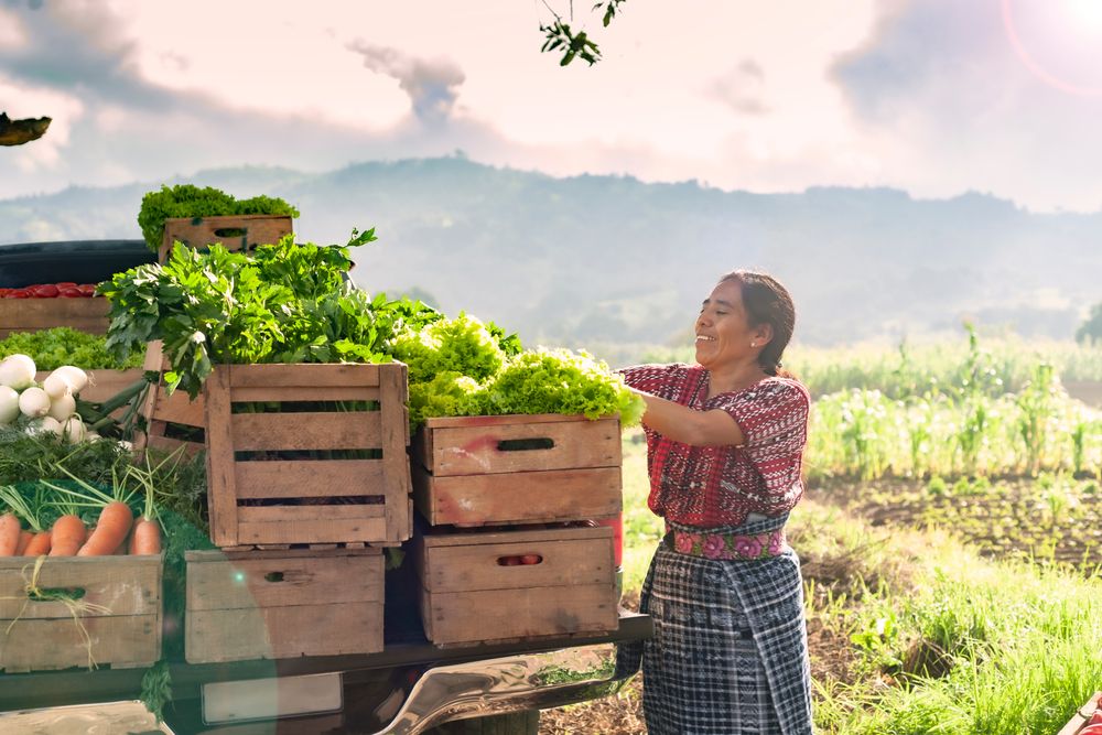 MujerEs Tierra la red de redes que busca mejores condiciones para la mujer en el campo
