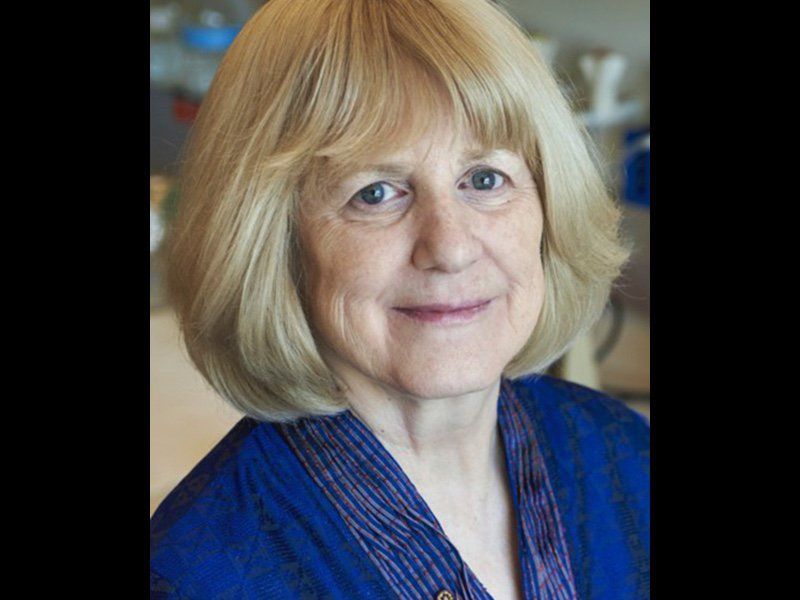 Mary-Claire King, la científica que descubrió el gen del cáncer de mama ...