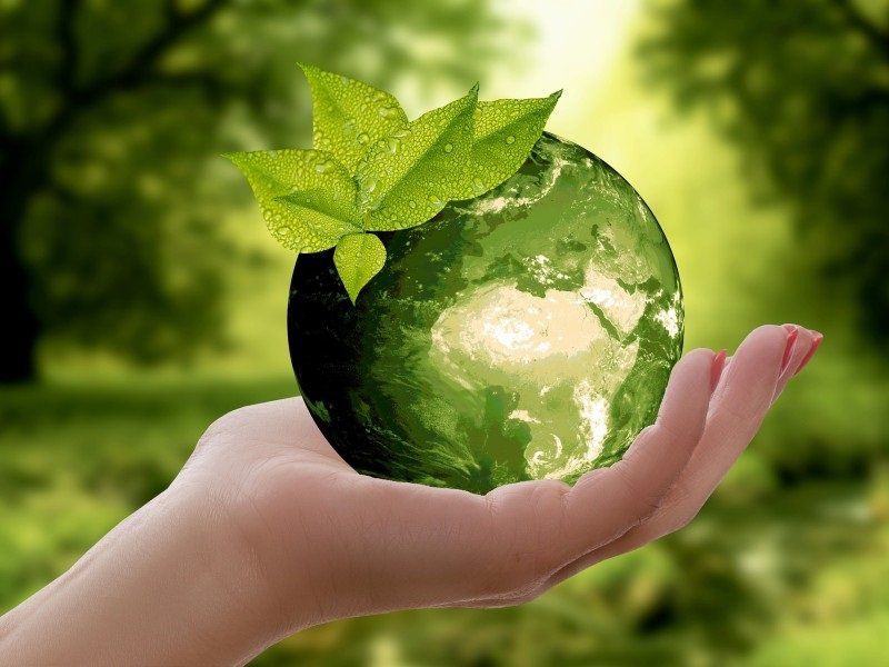 4 características de un líder que quiere la sostenibilidad hacia 2030